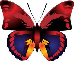 insects & butterfly free transparent png image.