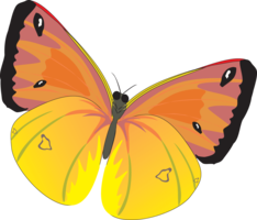 insects & Butterfly free transparent png image.