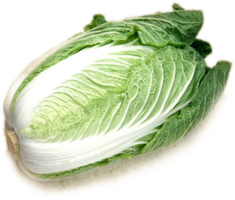 vegetables & Cabbage free transparent png image.