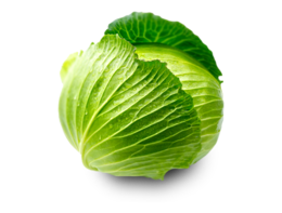 vegetables & cabbage free transparent png image.