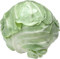 vegetables & Cabbage free transparent png image.