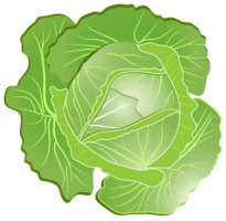 vegetables & Cabbage free transparent png image.