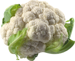 vegetables & Cabbage free transparent png image.