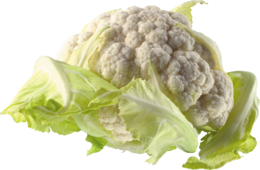 vegetables & Cabbage free transparent png image.