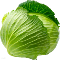 vegetables & Cabbage free transparent png image.