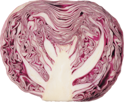 vegetables & cabbage free transparent png image.