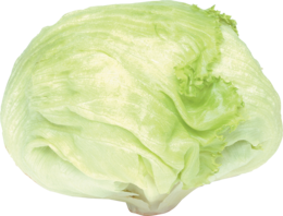 vegetables & cabbage free transparent png image.