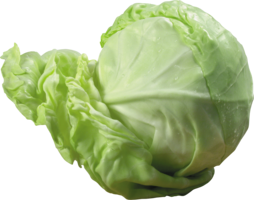 vegetables & Cabbage free transparent png image.