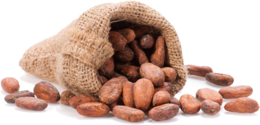 fruits & Cacao free transparent png image.