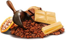 fruits & Cacao free transparent png image.