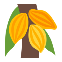 fruits & Cacao free transparent png image.