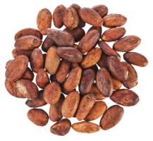fruits & cacao free transparent png image.