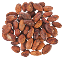 fruits & Cacao free transparent png image.