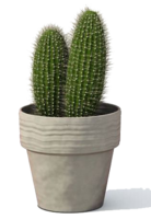 nature & Cactus free transparent png image.