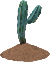 nature & cactus free transparent png image.