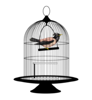 objects & Cage free transparent png image.