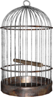 objects & cage free transparent png image.