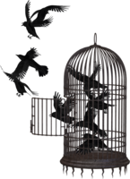 objects & Cage free transparent png image.