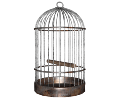 objects & cage free transparent png image.