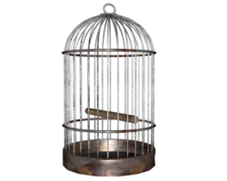 objects & cage free transparent png image.