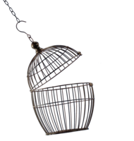 objects & cage free transparent png image.