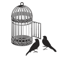 objects & cage free transparent png image.