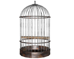 objects & cage free transparent png image.