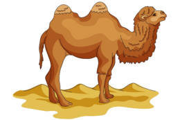 animals & camel free transparent png image.