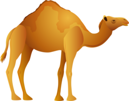 animals & camel free transparent png image.