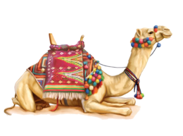 animals & Camel free transparent png image.