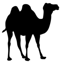 animals & camel free transparent png image.