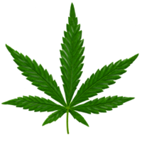 nature&Cannabis png image.