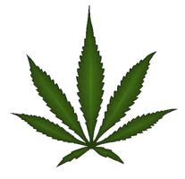 nature & Cannabis free transparent png image.