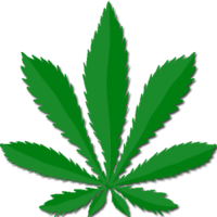 nature & Cannabis free transparent png image.