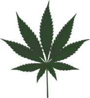 nature & Cannabis free transparent png image.