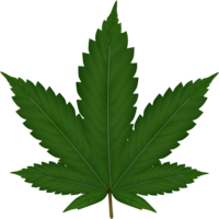 nature & Cannabis free transparent png image.