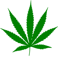 nature & Cannabis free transparent png image.