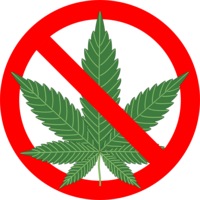 nature & Cannabis free transparent png image.
