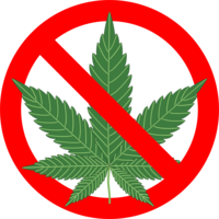 nature & cannabis free transparent png image.