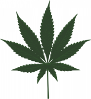 nature & Cannabis free transparent png image.