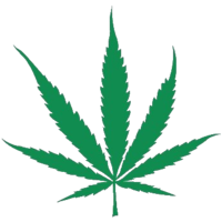 nature & Cannabis free transparent png image.