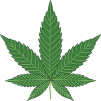 nature & Cannabis free transparent png image.