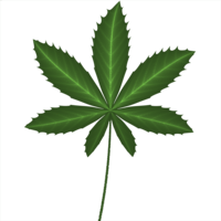 nature & cannabis free transparent png image.