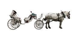 transport & carriage free transparent png image.