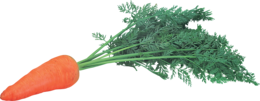 vegetables & Carrot free transparent png image.