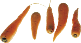 vegetables & carrot free transparent png image.