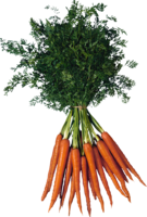 vegetables & carrot free transparent png image.