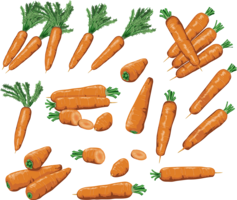 vegetables & carrot free transparent png image.