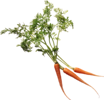 vegetables & Carrot free transparent png image.