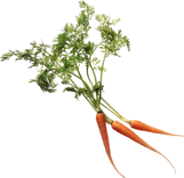 vegetables & carrot free transparent png image.